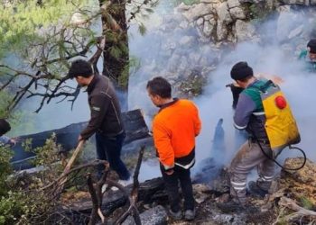 Datça’da yıldırım kaynaklı orman yangını