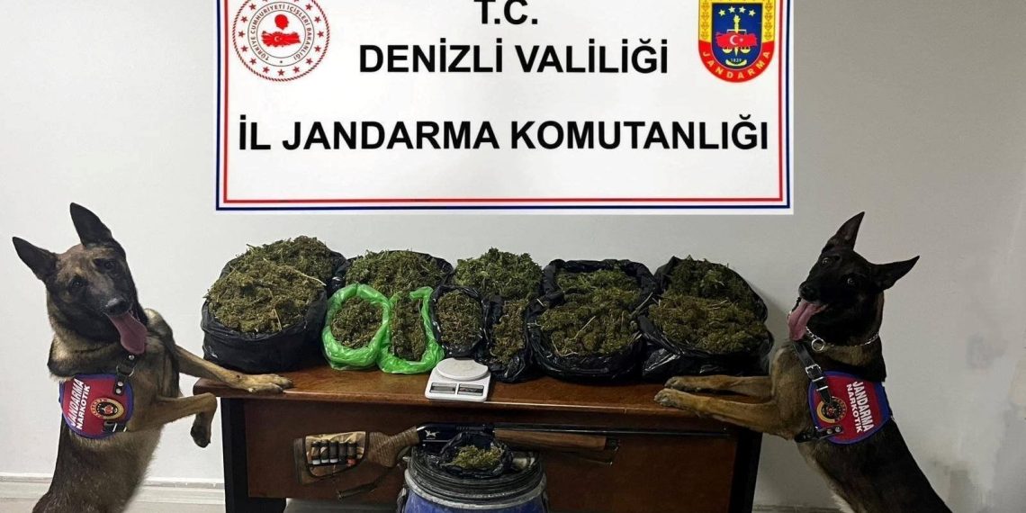 Denizli’de 1 ayda 22,7 kilogram esrar ele geçirildi