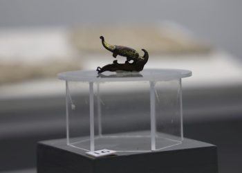 Divriği Kalesi’nde 2 bin yıllık nesne bulundu