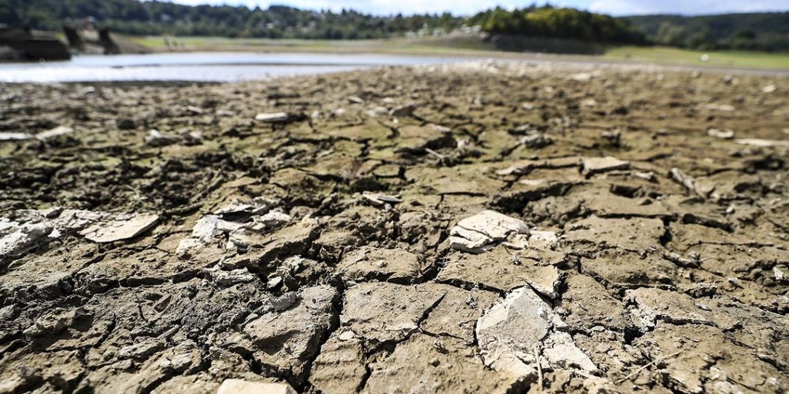 Etiyopya’da kuraklık: 176 kişi açlıktan hayatını kaybetti