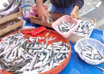 Fırtına balık fiyatlarını uçurdu