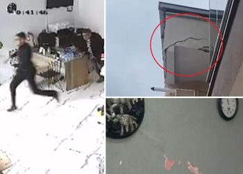 Gemlik’teki sarsıntının akabinde Bursa için ihtar: “Deprem her türlü işareti veriyor, daha neyi bekliyoruz?”