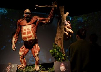 Gerçek Hayvanların Anatomi Sergisi’nin ziyaret tarihi uzatıldı