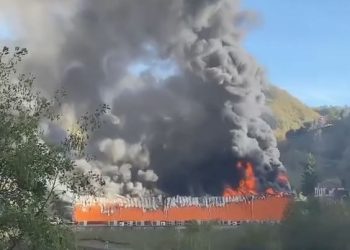 Giresun’da balık fabrikasında yangın