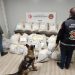 Hatay’da 1,2 ton uyuşturucu hap ele geçirildi