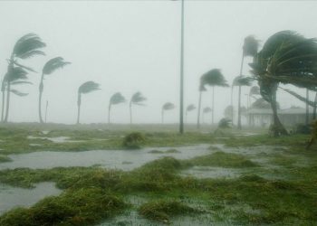 Hindistan’da fırtına: 9 kişi öldü