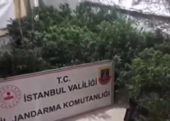 “Hobi bahçesi” dediler, uyuşturucu serası çıktı