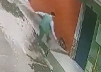 İzmir’de keserle kediye saldırdı