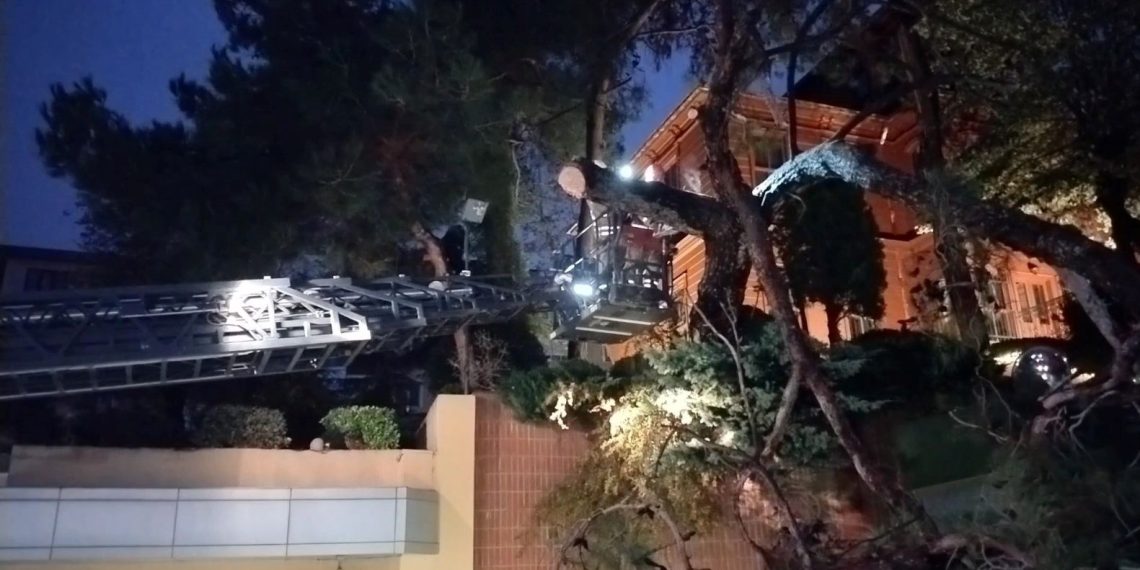 Kadıköy’de hastane bahçesine ağaç devrildi