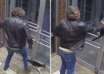 Kediyi tekmeleyen sanığa 5 ay ceza