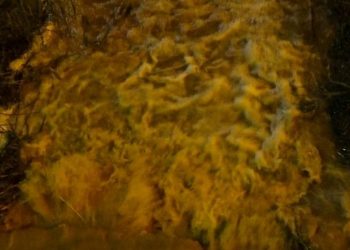 Kırklareli’nde derenin rengi değişti: Vatandaşlar huzursuz