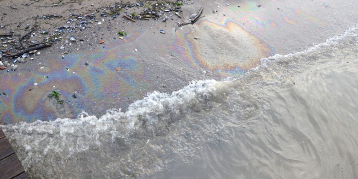 Kocaeli denizindeki kirliliğe inceleme