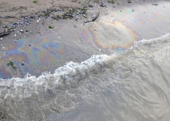 Kocaeli denizindeki kirliliğe inceleme