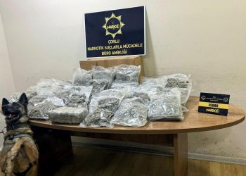 Manavda, sebze ve meyve kasalarının altına gizlenen 15 kilo esrarı “Larissa” buldu