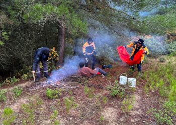 Mantar toplamaya gitti, mahsur kaldı