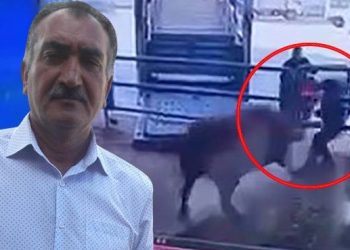 Mezbahada boğanın saldırdığı adam öldü: O anlar kamerada