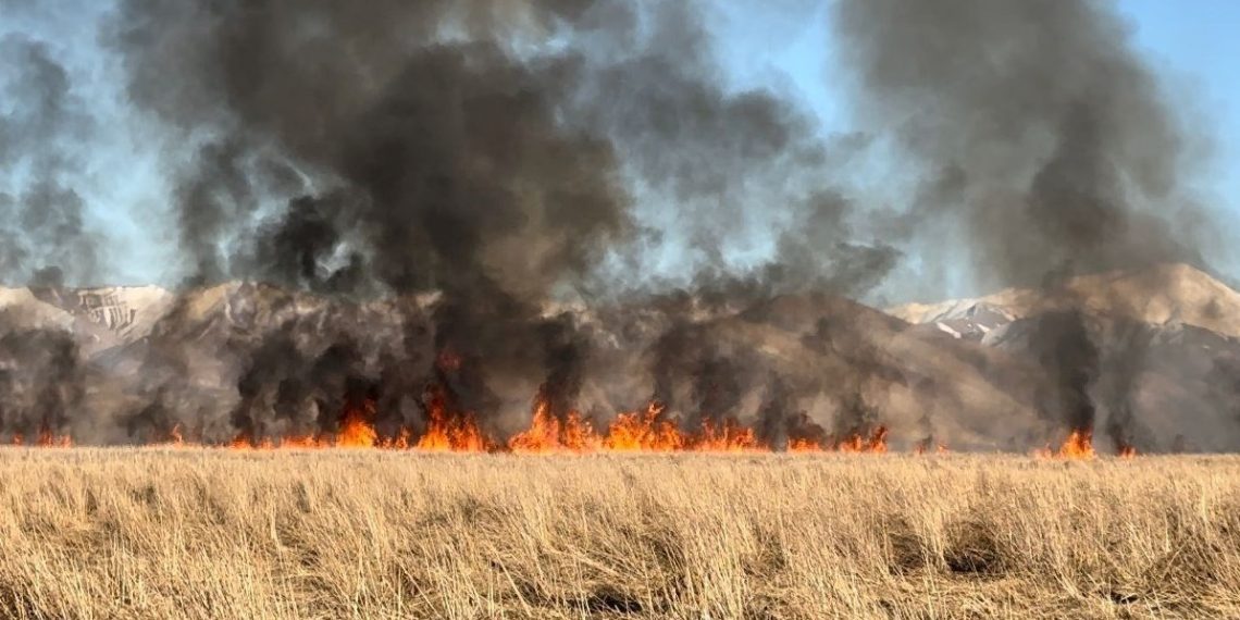 Nehil Sazlığı’nda yangın