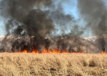 Nehil Sazlığı’nda yangın