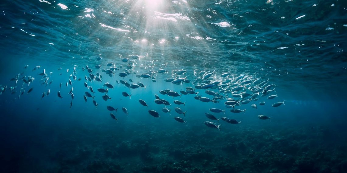 Norveç Arktik Okyanusu’nda derin deniz madenciliği yapacak