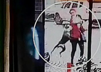 Tasmasız pitbull bayan ve köpeğine saldırdı