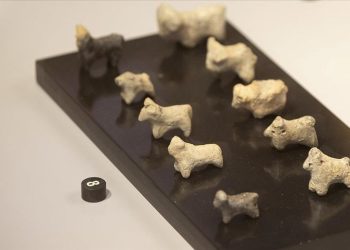 Tunceli Müzesi’ne 3 yılda 298 eser kazandırıldı