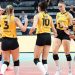VakıfBank-Jedinstvo Stara Pazova maçı ne vakit, saat kaçta ve hangi kanalda?
