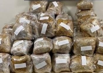 Van’da 52 kilogram esrar ele geçirildi