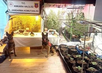 Ankara’da narkotik operasyonu: 5 gözaltı