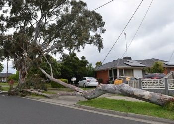 Avustralya’da fırtına iki can aldı