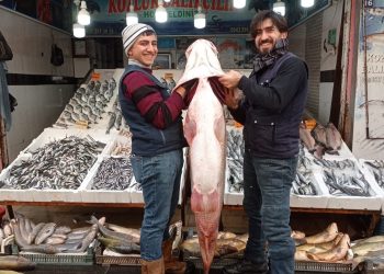 Batman’da balıkçının oltasına takılan balık dana fiyatına satıldı