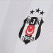 Beşiktaş, PFDK’ya sevk edildi