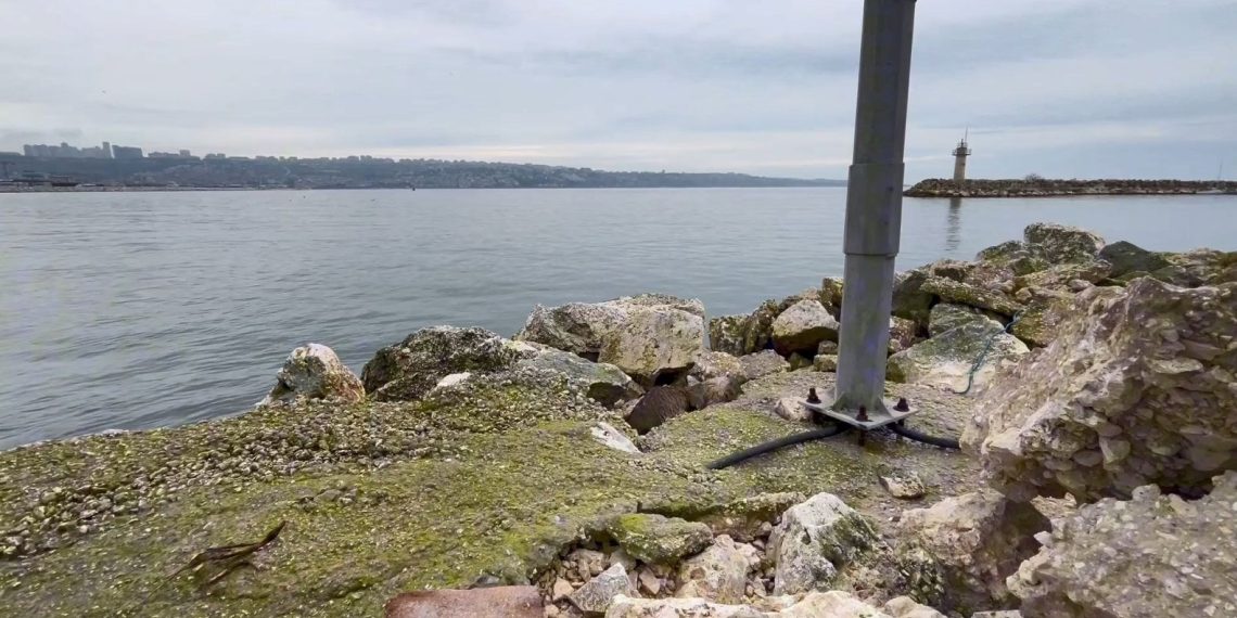 Büyükçekmece’nin “Maskot”u sahilde ölü bulundu