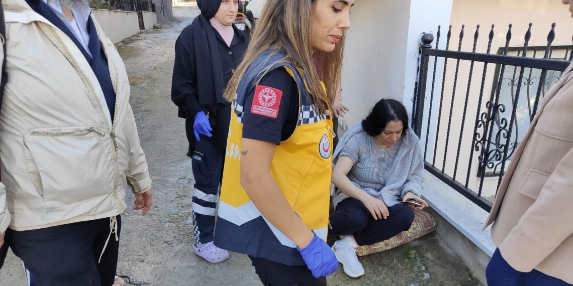 Çitlerden atlayan pitbull bayana saldırdı