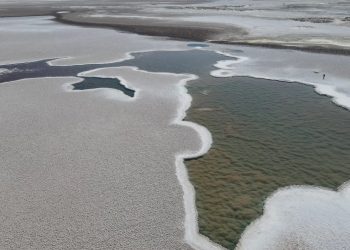 Dünyada ömrün en eski izleri: Arjantin’de 3 milyar yıllık fosiller bulundu