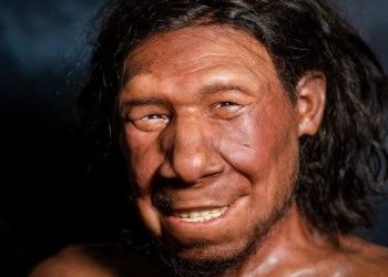 Erken kalkan beşerler Neandertaller’in soyundan geliyor olabilir