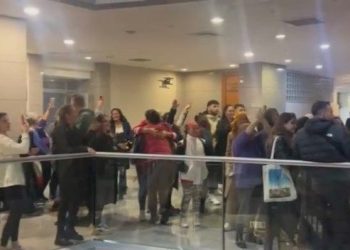 Fatih’te kedileri öldüren sanık hakkında karar