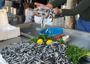 Fırtına hamsiyi uçurdu