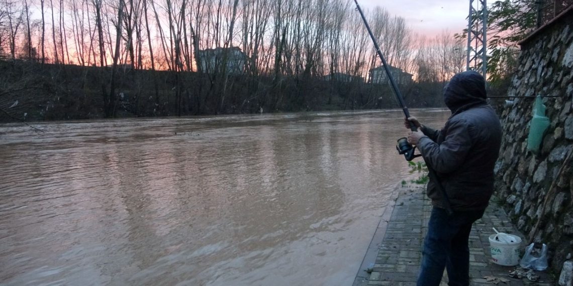 Irmak taşınca asfaltta balık avladı