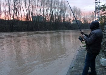 Irmak taşınca asfaltta balık avladı