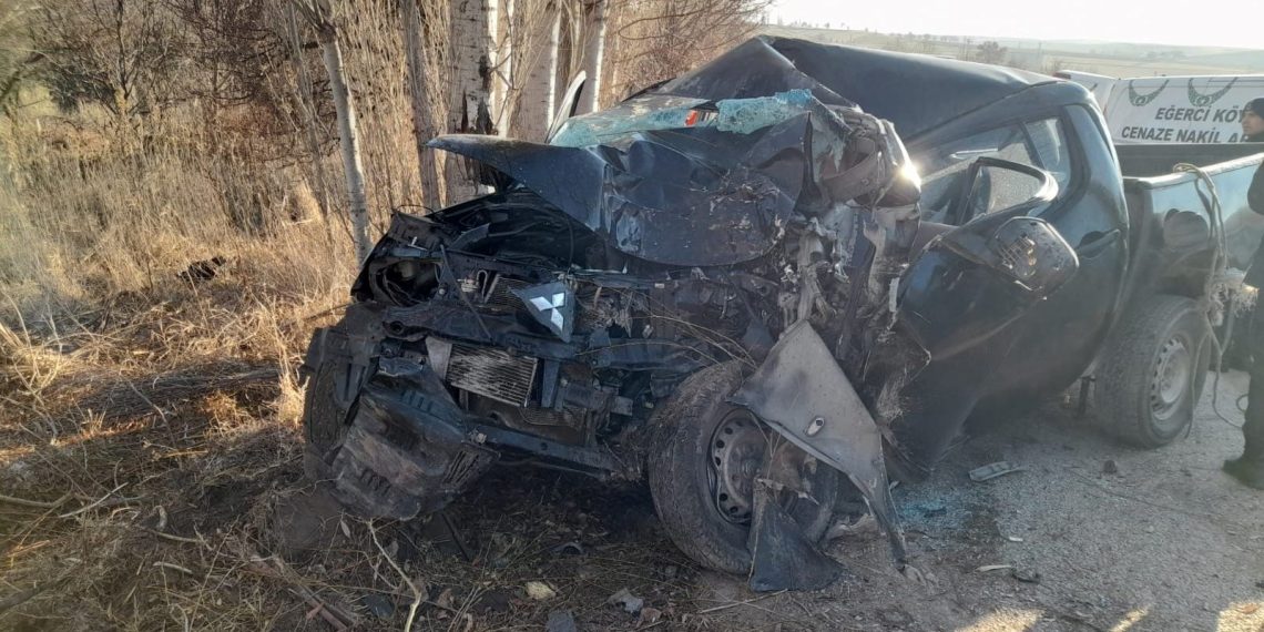 Kamyonet ağaca çarptı: 1 meyyit