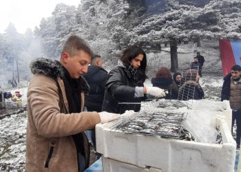 Karlar altında hamsi şenliği: 2 ton hamsi tükettiler