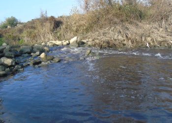 Kaymakamlıktan açıklama: Karasu Çayı’nda uygunsuzluk tespit edilemedi