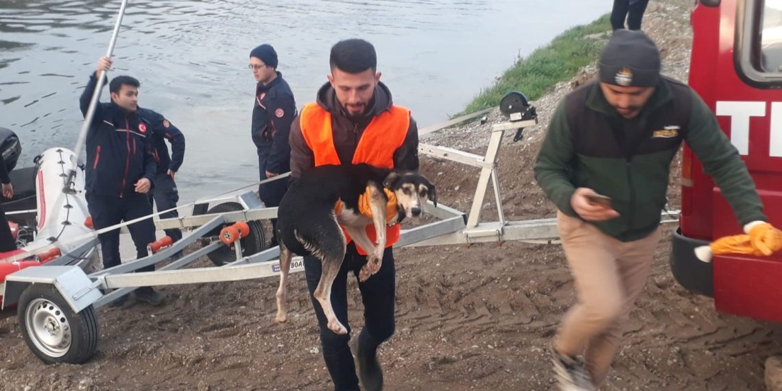 Kızılırmak’ta mahsur kalan köpek kurtarıldı