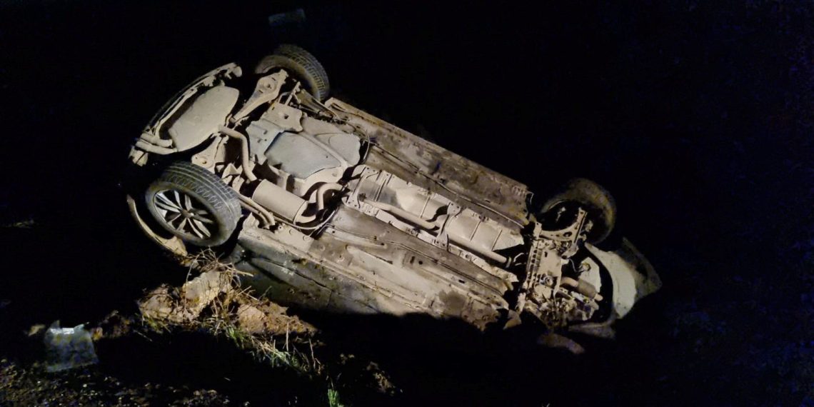 Köpeğe çarpmamaya çalışırken kaza yaptı: 5 yaralı