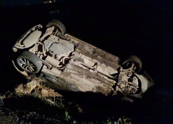 Köpeğe çarpmamaya çalışırken kaza yaptı: 5 yaralı