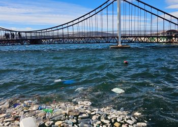 Lodos kıyıya çöp getirdi