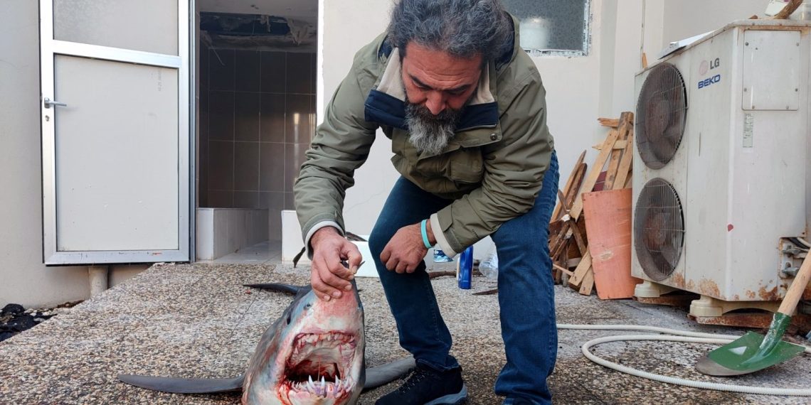 Mersin’de jenerasyonu tükenme tehlikesi altındaki köpek balığı kıyıya vurdu