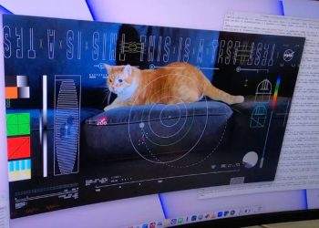 NASA’dan ileti: Dünya’ya 31 milyon kilometre mesafeden kedi görüntüsü gönderildi
