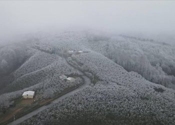 Sakarya’nın yüksek kısımları beyaza büründü