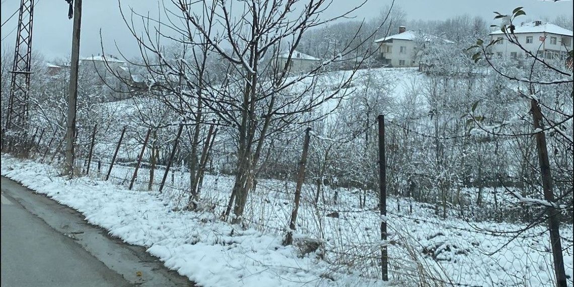 Samsun’un 3 ilçesinde kar yağışı